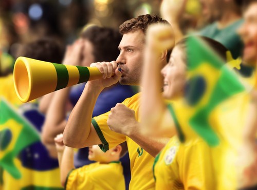 WHY VISIT BRAZIL?