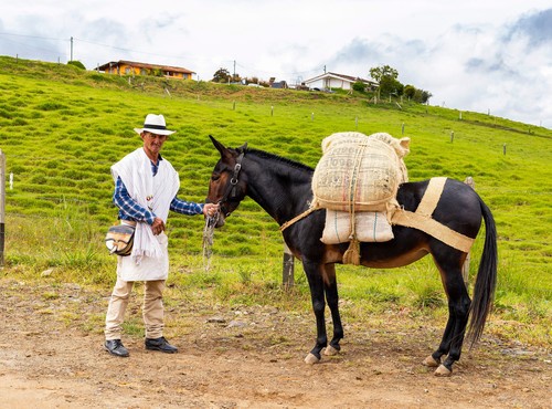 WHY YOU SHOULD VISIT COLOMBIA RIGHT NOW