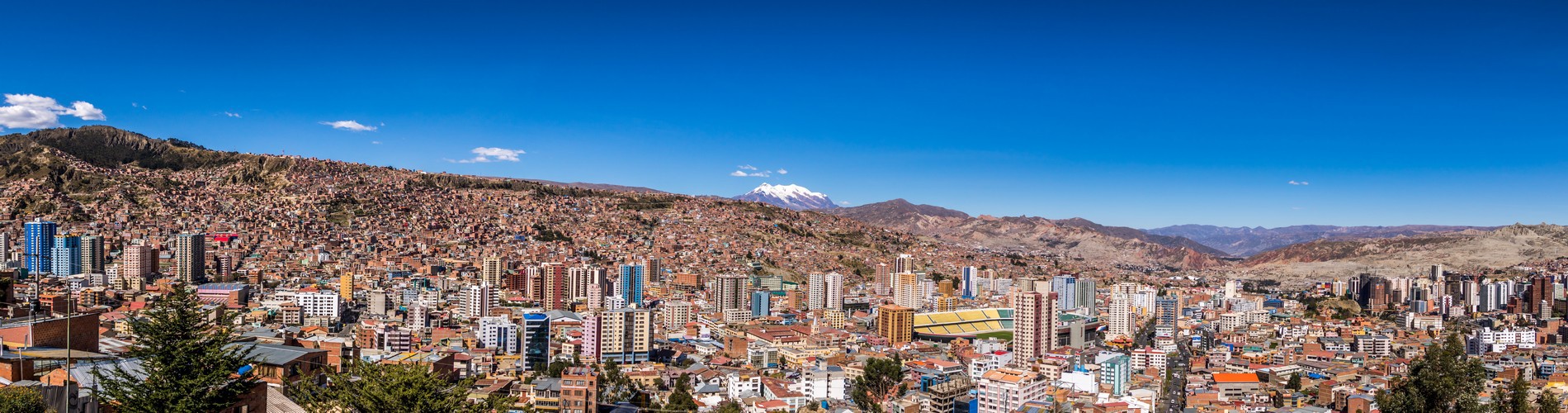 ZEBRAS IN LA PAZ