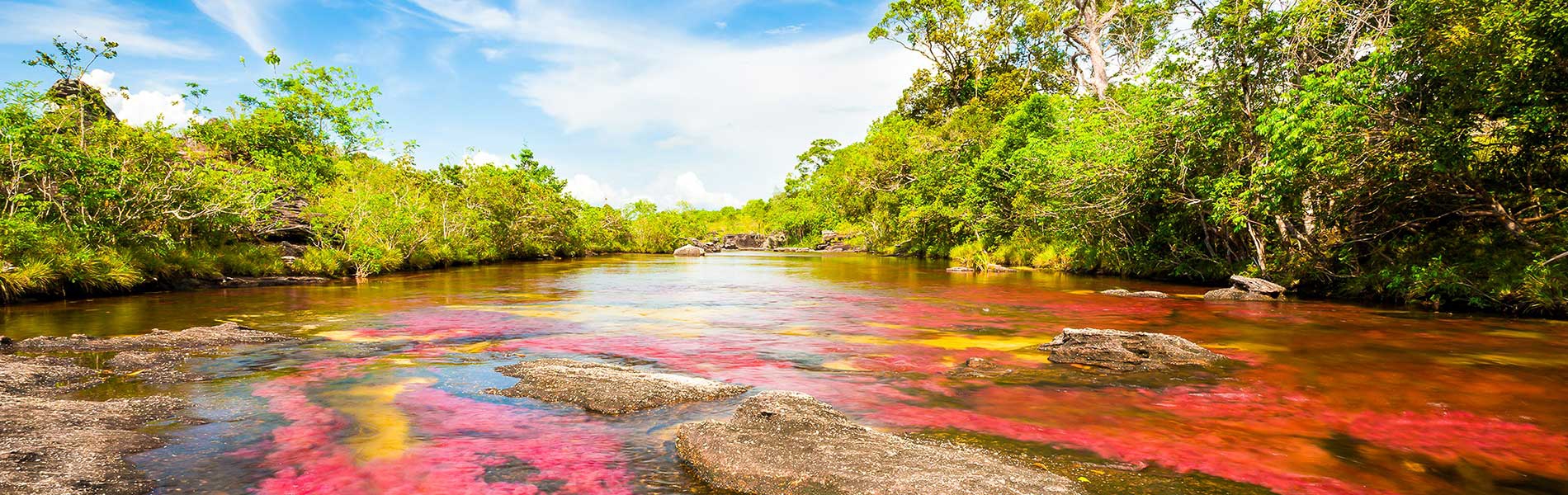 caño cristales