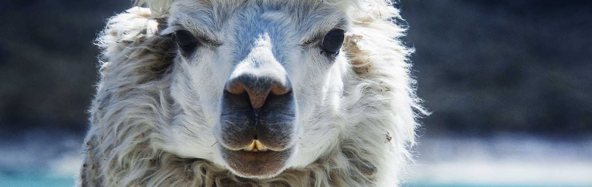 Cordillera Blanca