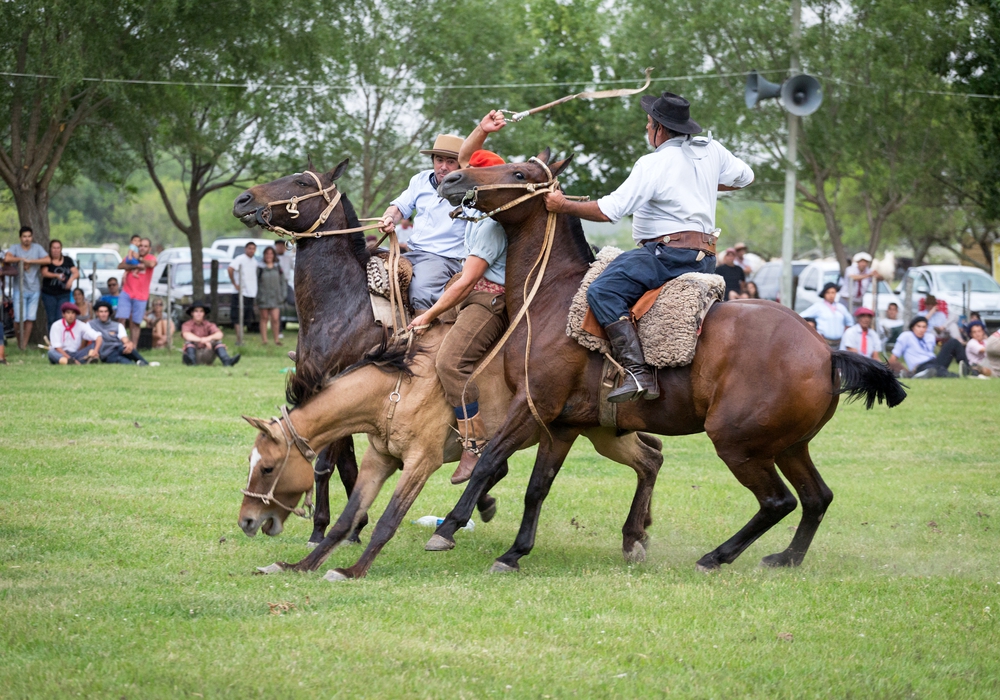 13 DAY ARGENTINE ESTATES DAY 2