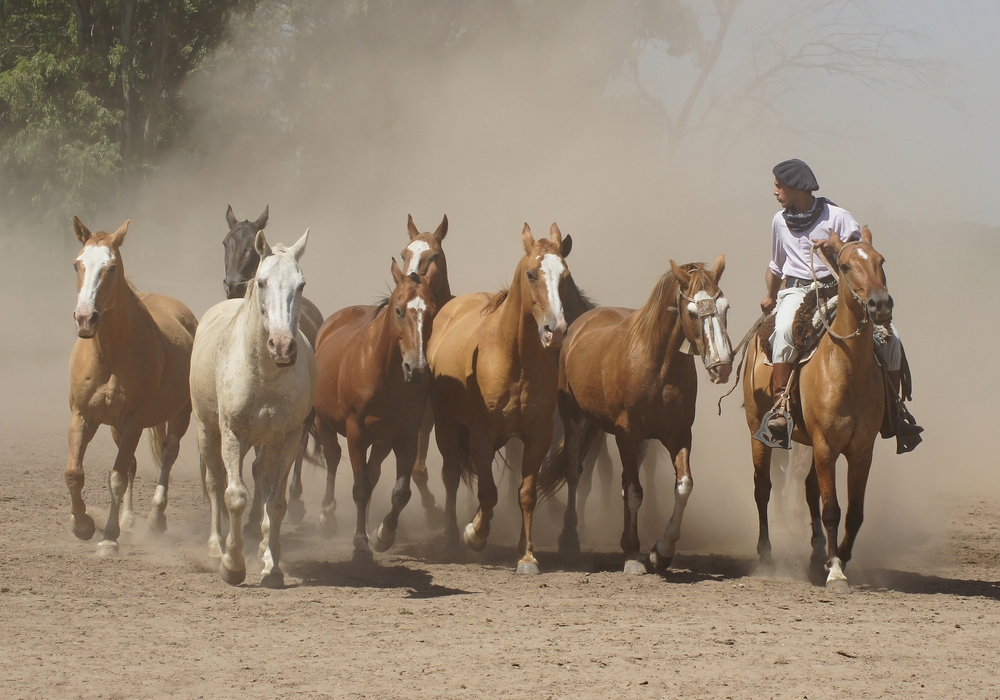 13 DAY ARGENTINE ESTATES DAY 3