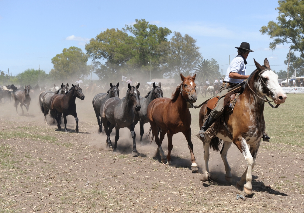 13 DAY ARGENTINE ESTATES day 7