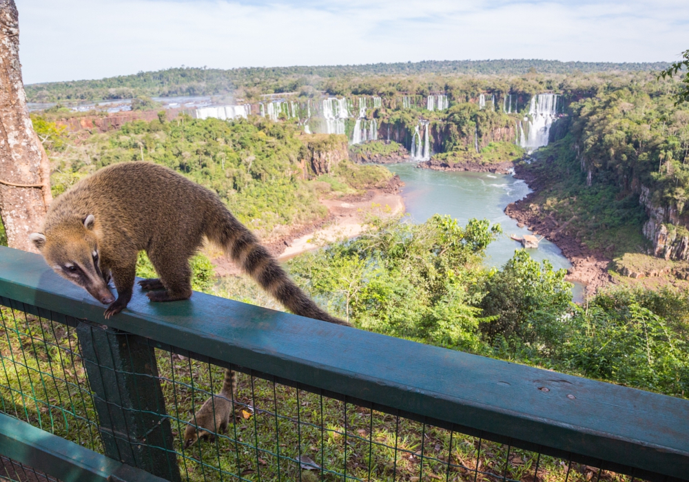 Argentina family adventure day 11