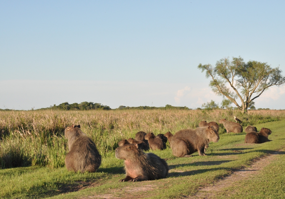 ARGENTINA FAMILY ADVENTURE day 6