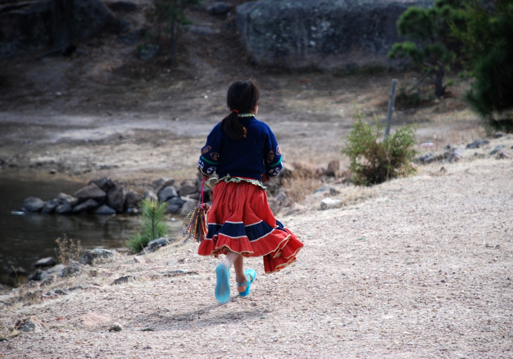 Day 01 - Arrival in El Fuerte