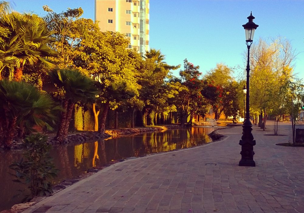 Day 01 - Arrival in El Fuerte