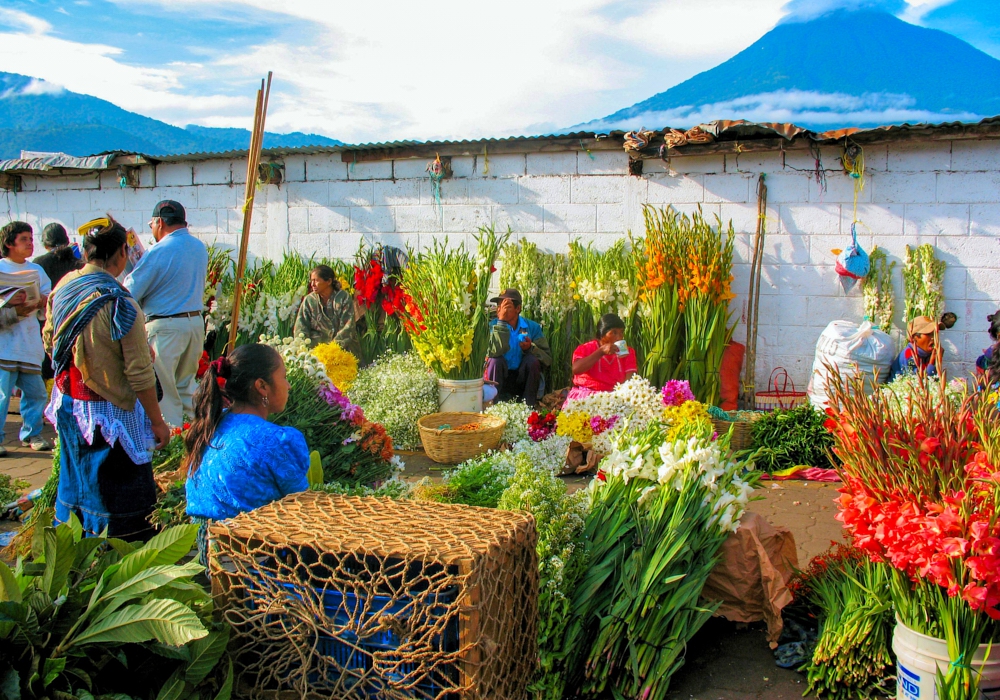 Day 01 - Arrival to Guatemala City