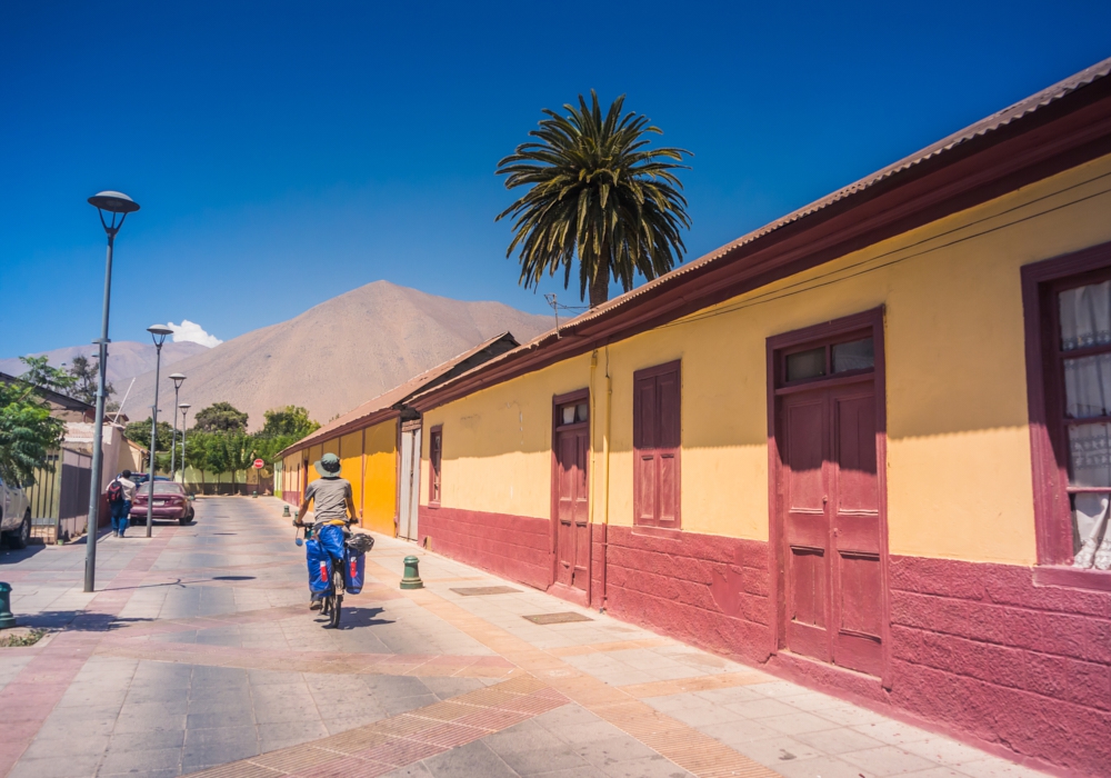 Day 01 - Arrival to La Serena - Vicuña