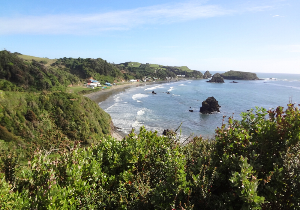 Day 01 - Arrival to Puerto Montt - Ancud - Piñihuil National Park- Castro