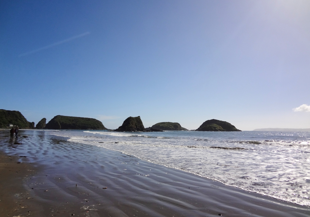 Day 01 - Arrival to Puerto Montt - Ancud - Piñihuil National Park- Castro