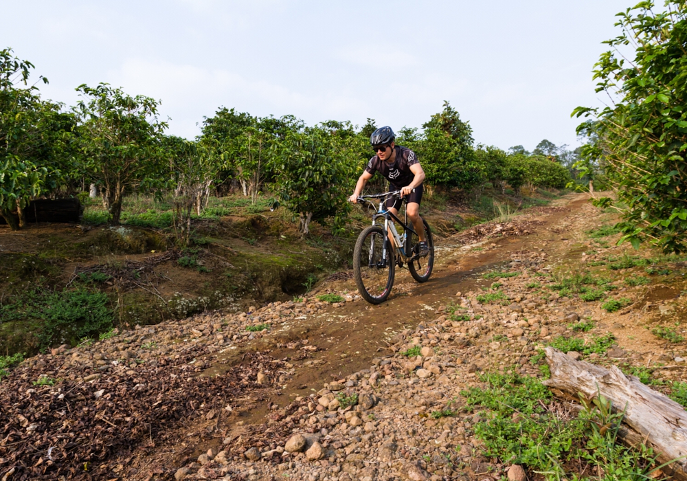 Day 01 - Arrival to San Jose - Heredia