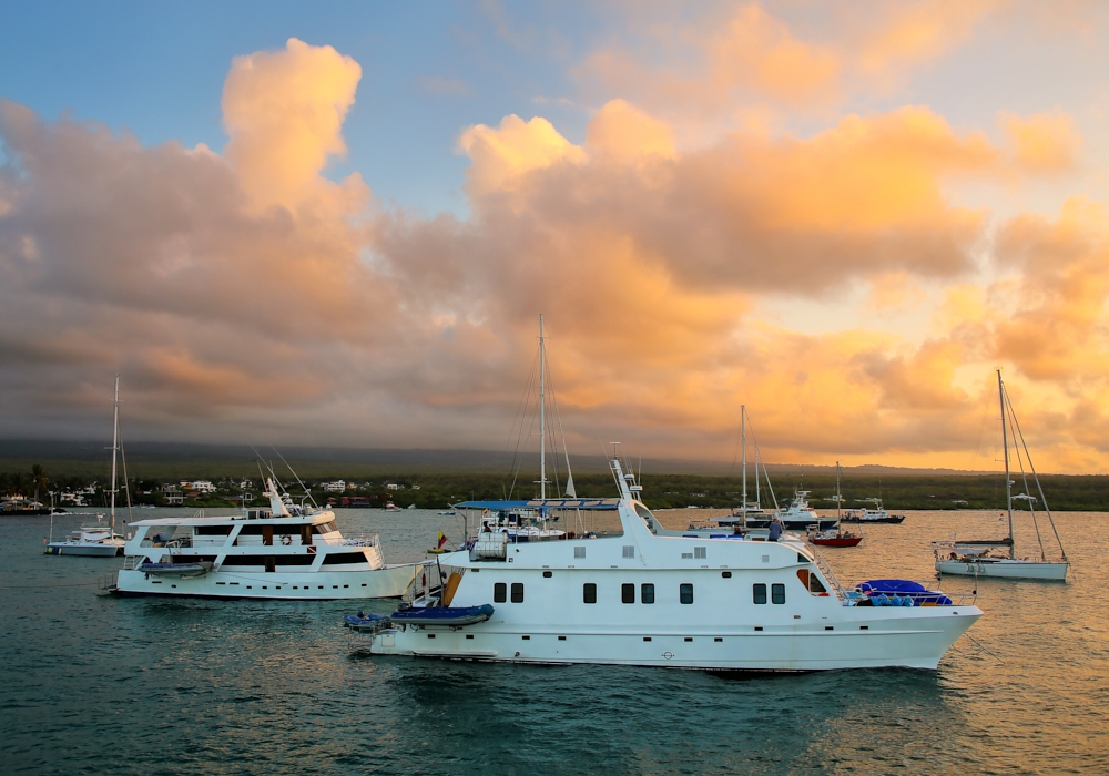 DAY 01 - Arrival to the Galapagos.