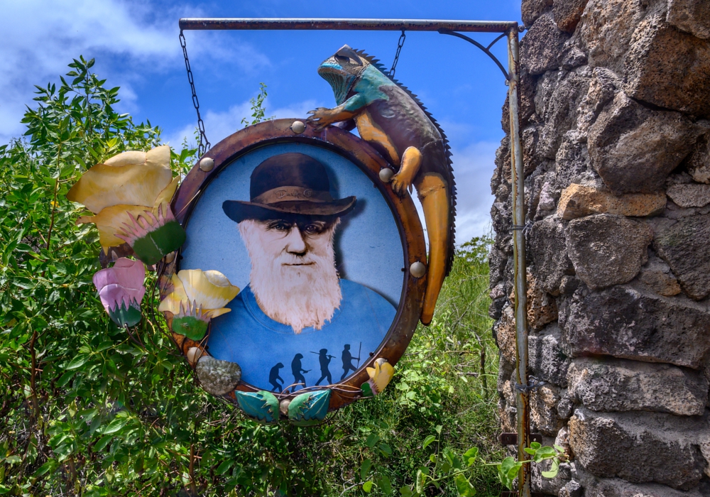 DAY 01 - Arrival to the Galapagos.