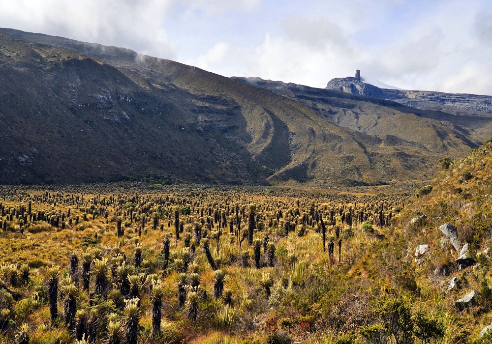 DAY 01 – Bogota - E Cocuy