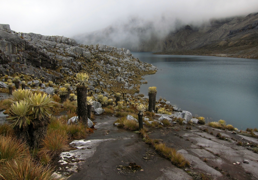 DAY 01 – Bogota - E Cocuy