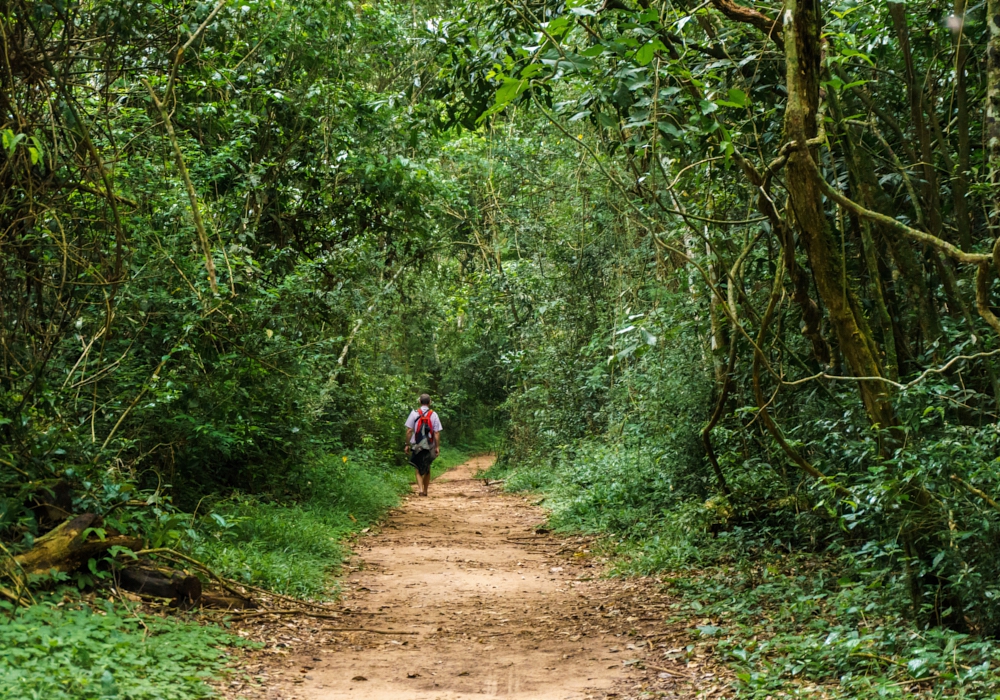 Day 01 - Foz do Iguazu