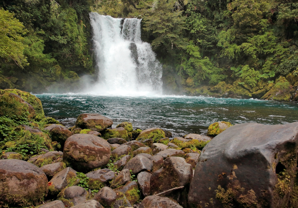 Day 01 - Puerto Montt - Petrohue Falls - Cochamó - Hornopirén