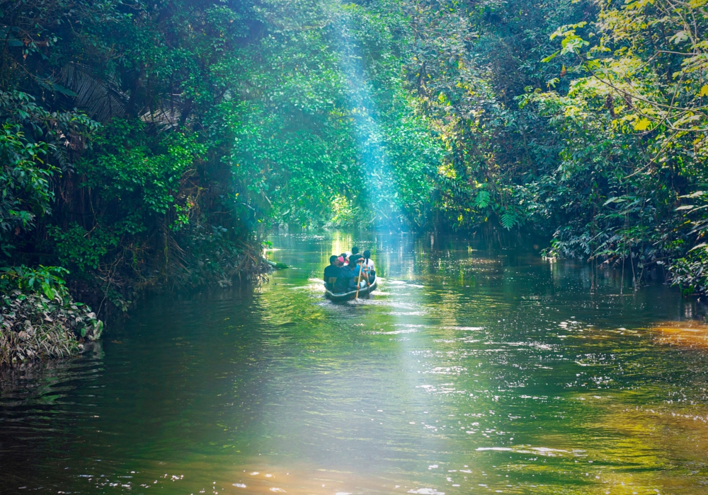 Day 01- Quito - Yasuni