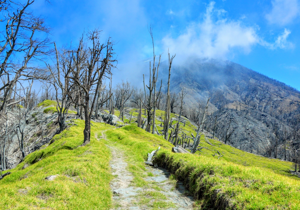 Day 01 - San Jose - Turrialba