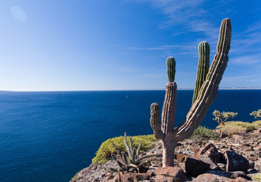 Day 02- Arrive to La Paz