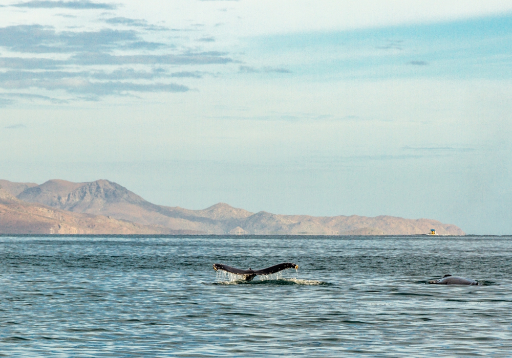 Day 02- Arrive to La Paz