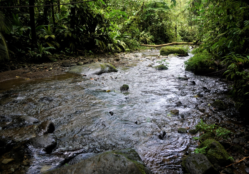 Day 02 - Braulio Carrillo National park