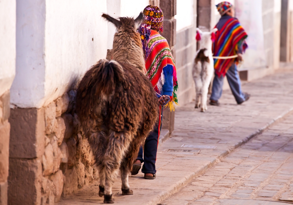 Day 02 - Cusco Open Day