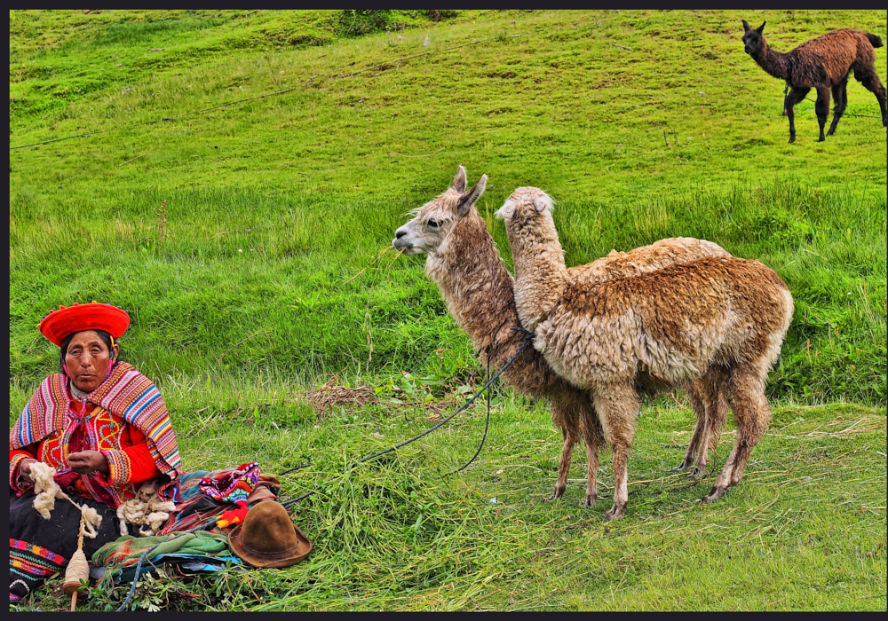 Day 02 - Cusco Open Day