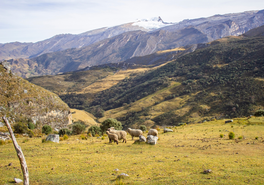 DAY 02 - El Cocuy - Mirador El Cocuy