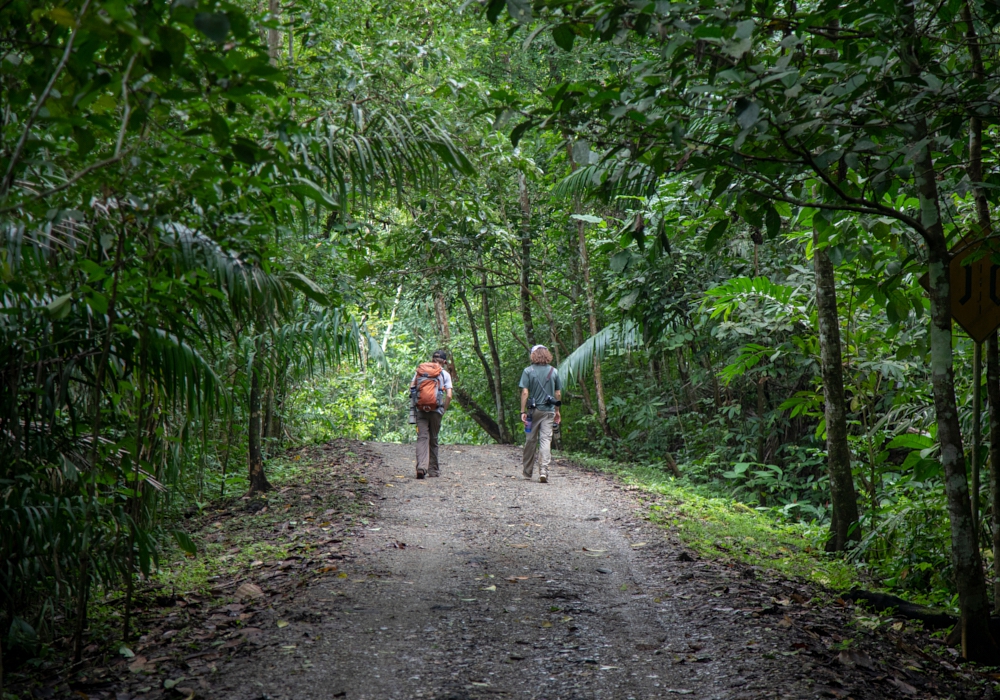 DAY 02 - Embera Indigenous Community - GAMBOA