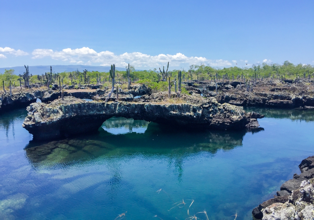 Day 02 - Galapagos