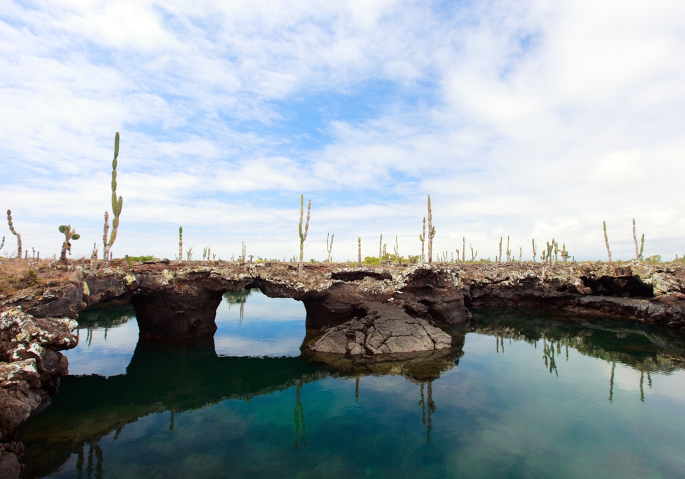 Day 02 - Galapagos