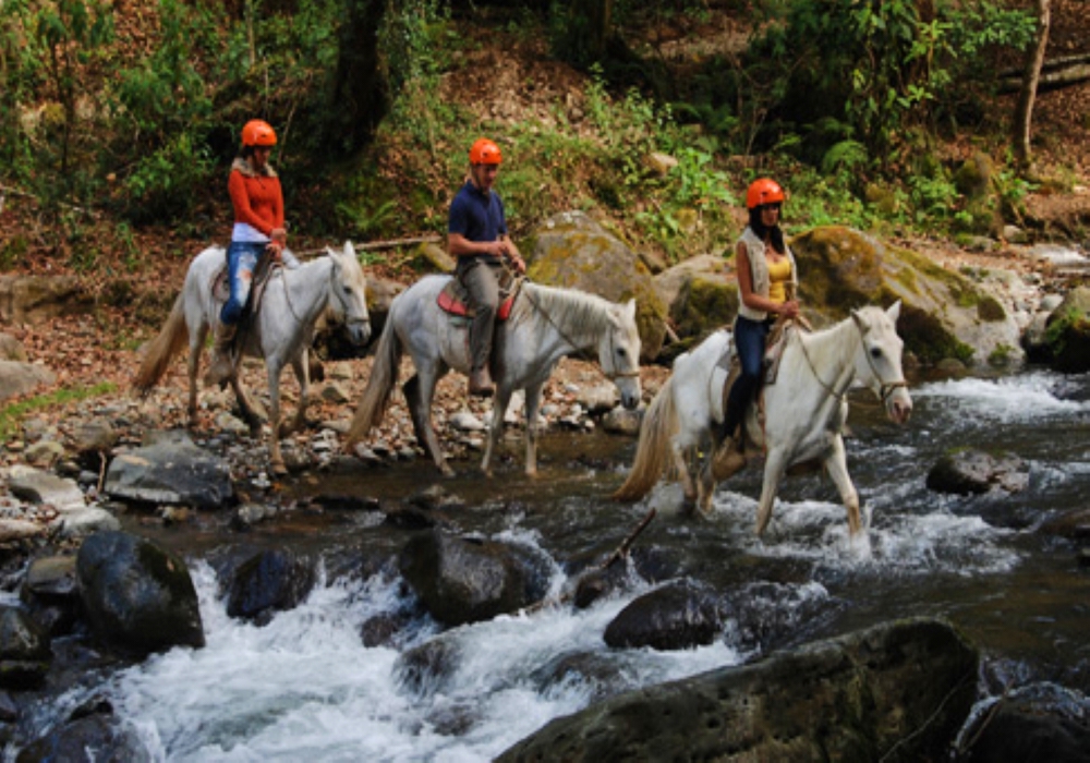 Day 02 - Heredia - Savegre