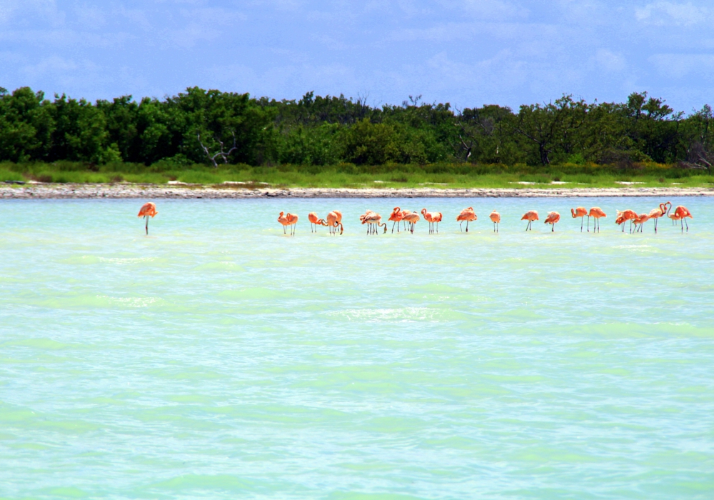 Day 02 - Isla Holbox