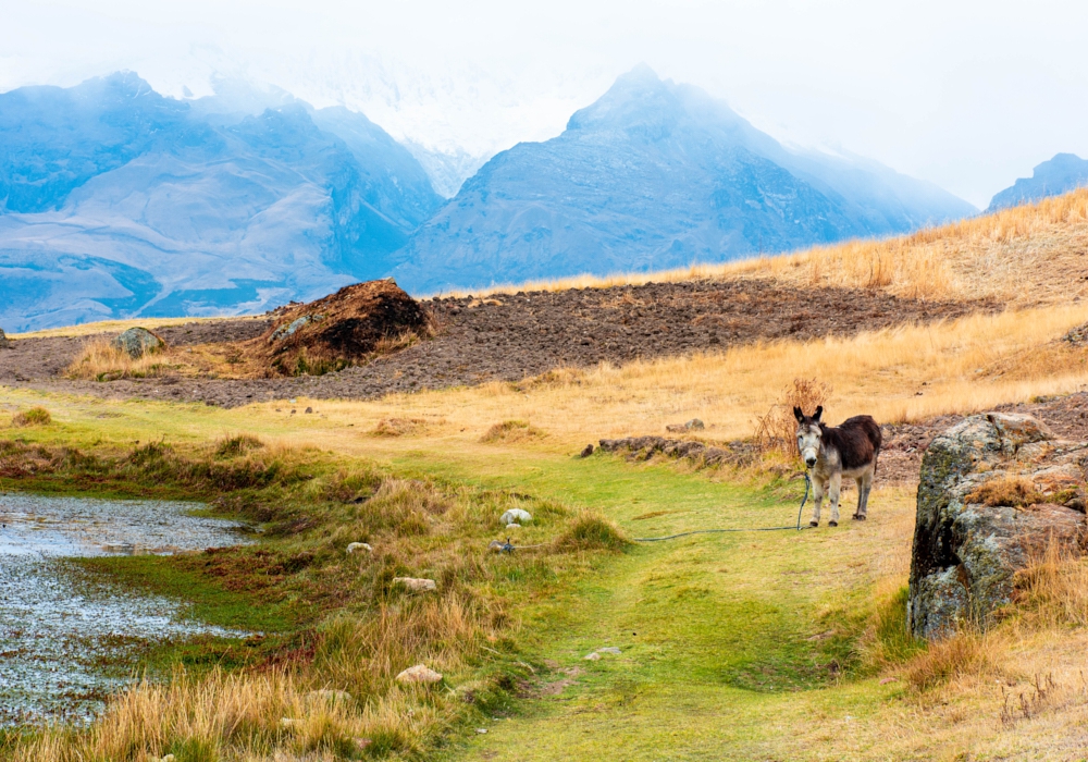 Day 02 - Lima to Huaraz