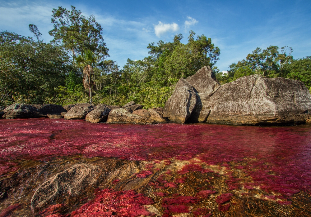 DAY 02 - Macarena - Caño Cristales