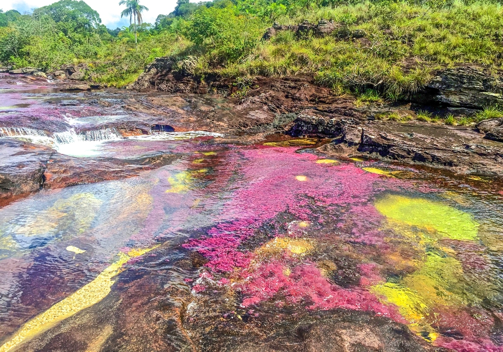 DAY 02 - Macarena - Caño Cristales