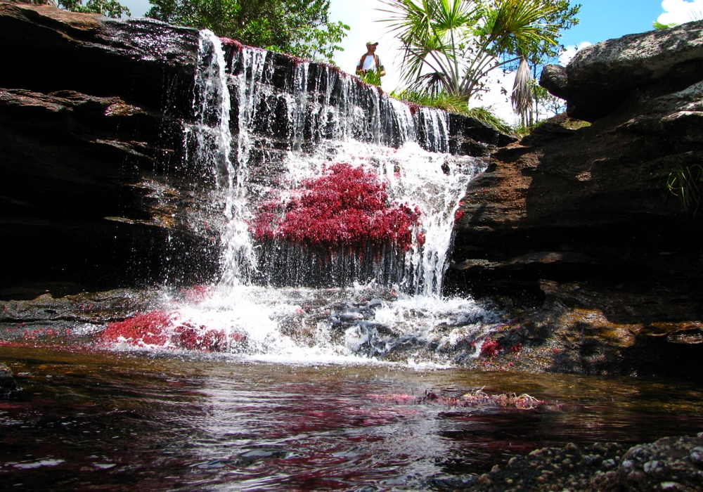 DAY 02 - Macarena - Caño Cristales