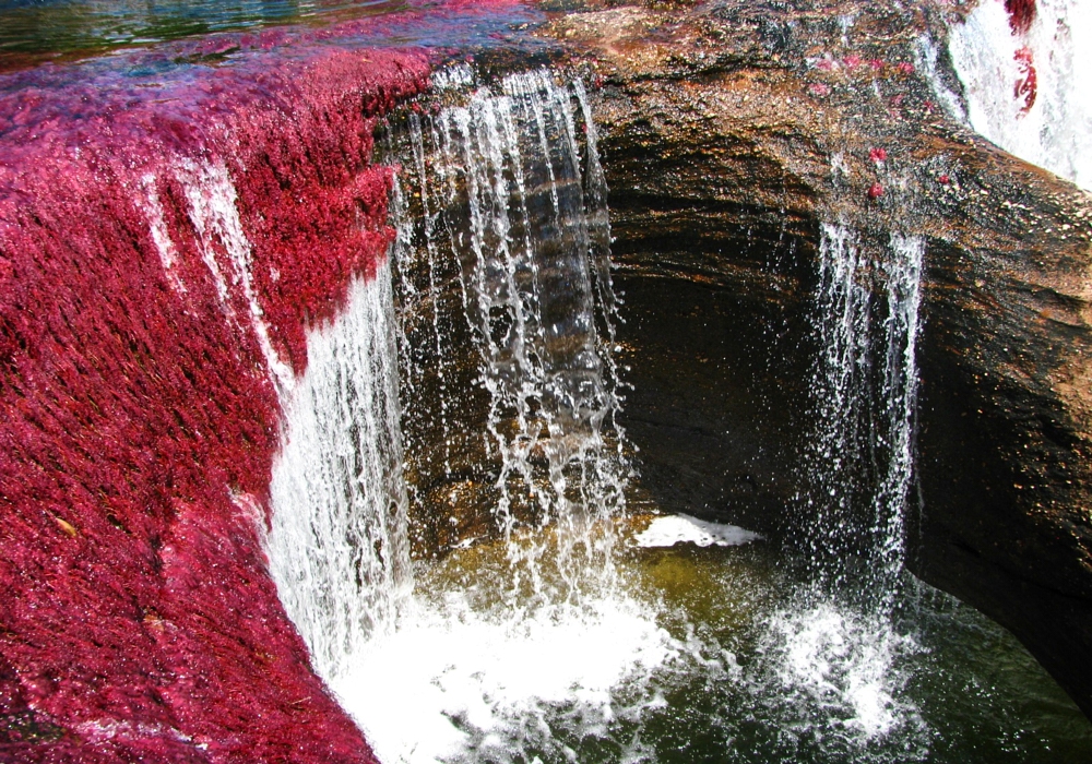 DAY 02 - Macarena - Caño Cristales