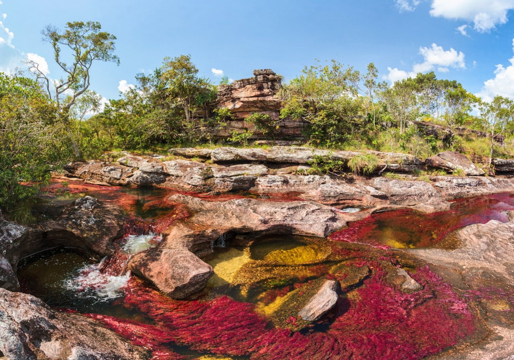 DAY 02 - Macarena - Caño Cristales