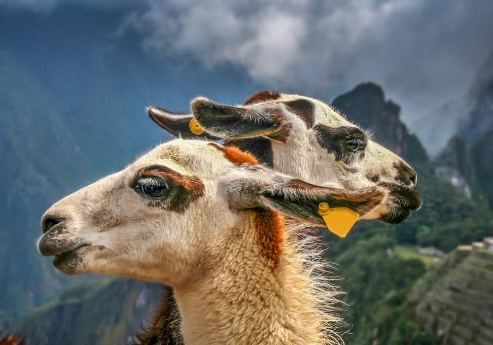 Day 02- MachuPicchu in its Glory