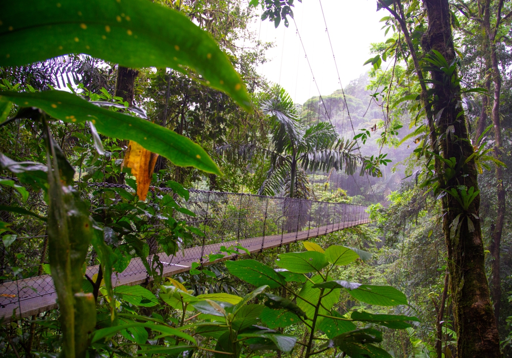 Day 02 -  Naranjo - Arenal