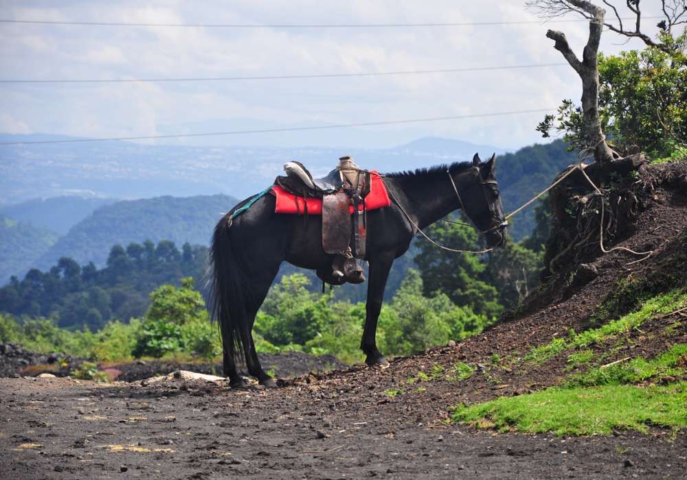 Day 02 - Pacaya Volcano