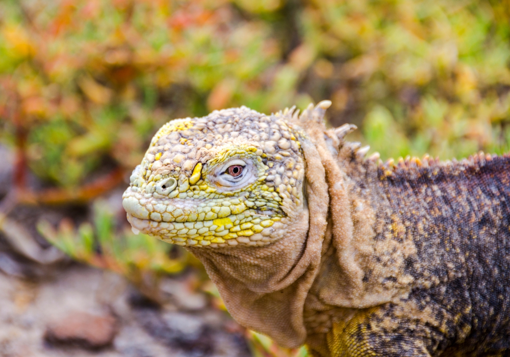 Day 02 - Quito - Galapagos