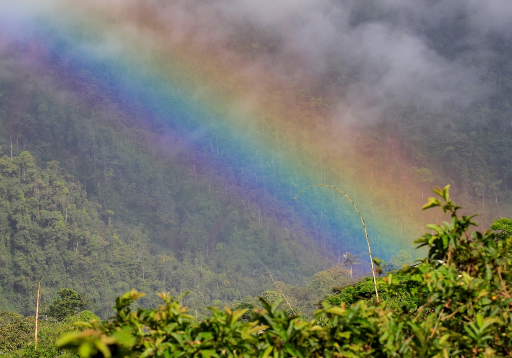 Day 02 - Quito - Mindo Cloud Forest