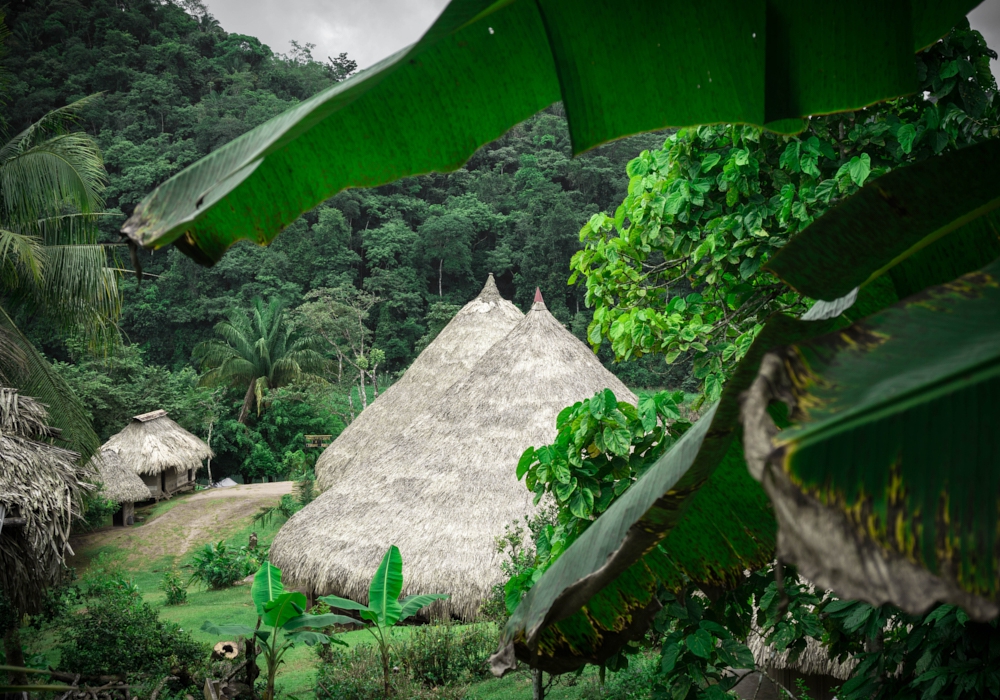 DAY 02 -  Railway visit - Embera Quera Community