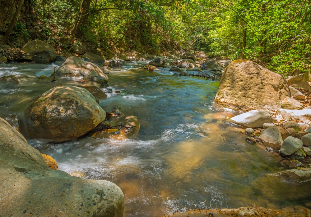 Day 02 - Rincon de la Vieja