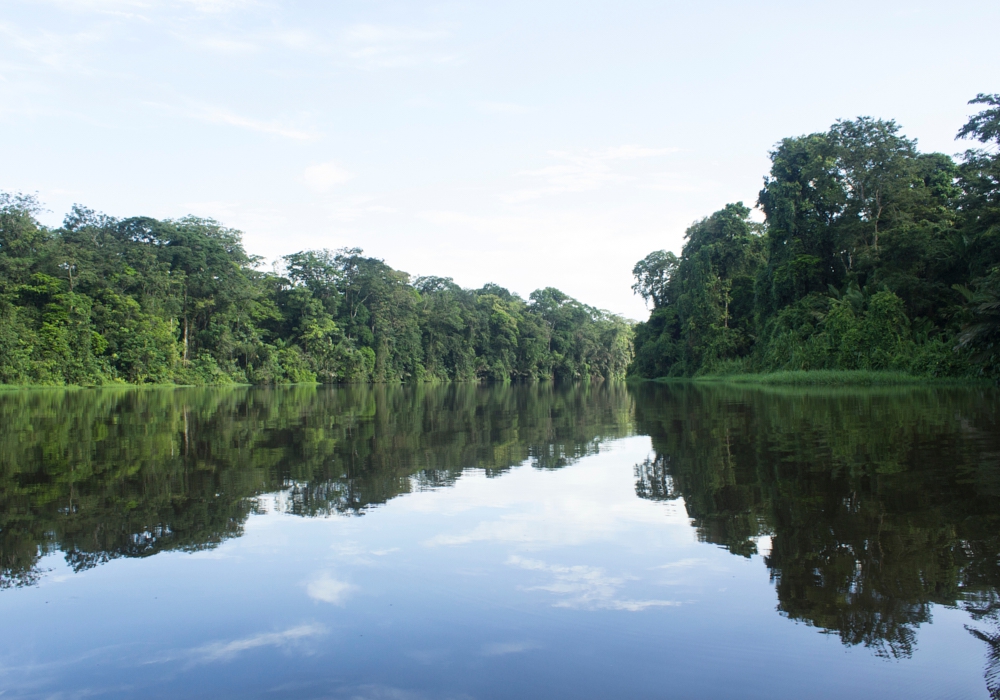 Day 02 – San Jose - Tortuguero